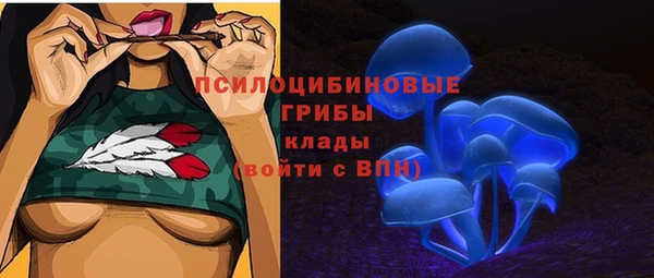 соль курить ск Алзамай