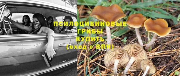 соль курить ск Алзамай