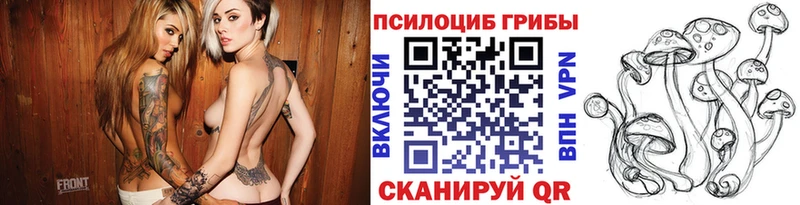 mega ссылка Карабаш Галлюциногенные грибы Psilocybe